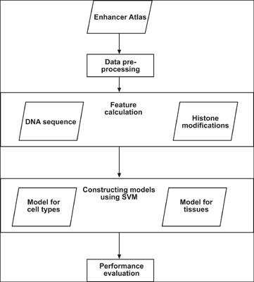 Predicting Enhancers from Multiple Cell Lines and Tissues across Different Developmental Stages Based On SVM Method