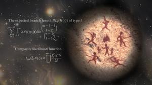 A high extinction risk of our ancestor decoded by a new inference method.