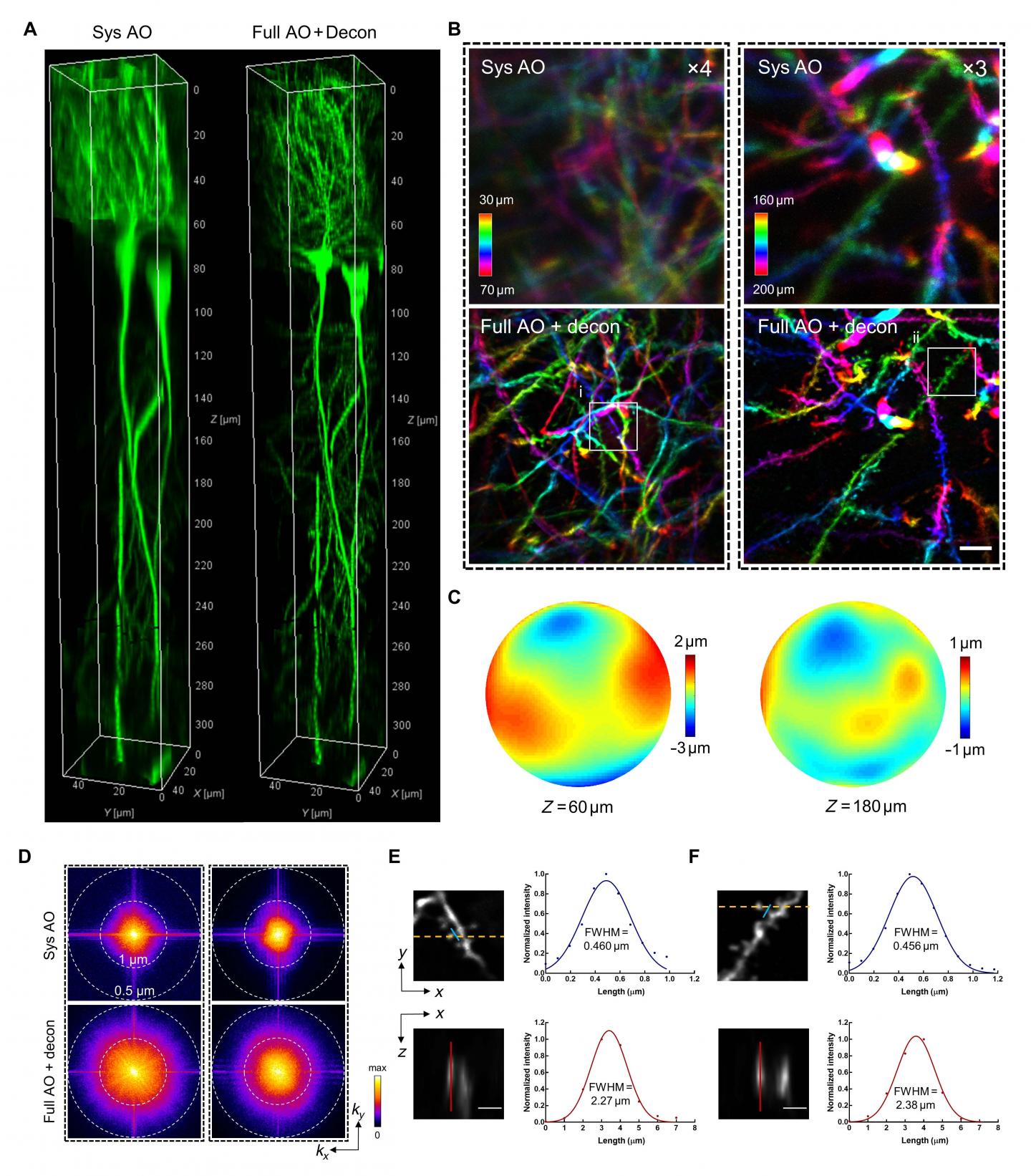 Direct wavefront sensing AO ef [IMAGE] EurekAlert! Science News Releases