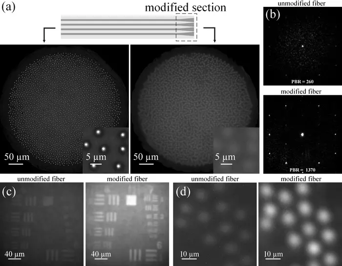 Image quality comparison before and after the thermal modification of the multicore fiber endoscope.