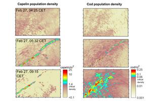 Mapping Fish