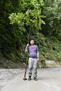 Dr. Daike Tian with an individual of Begonia giganticaulis