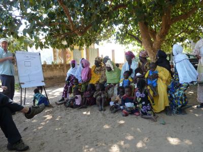 Education in Plantation project Patako, Senegal