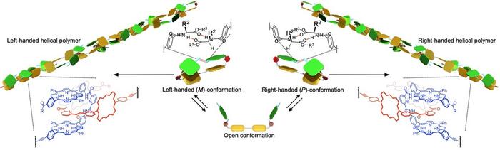 Pseudo-supramolecular polycatenane polymers with controlled handedness