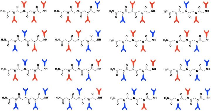 Peptoid Combinations