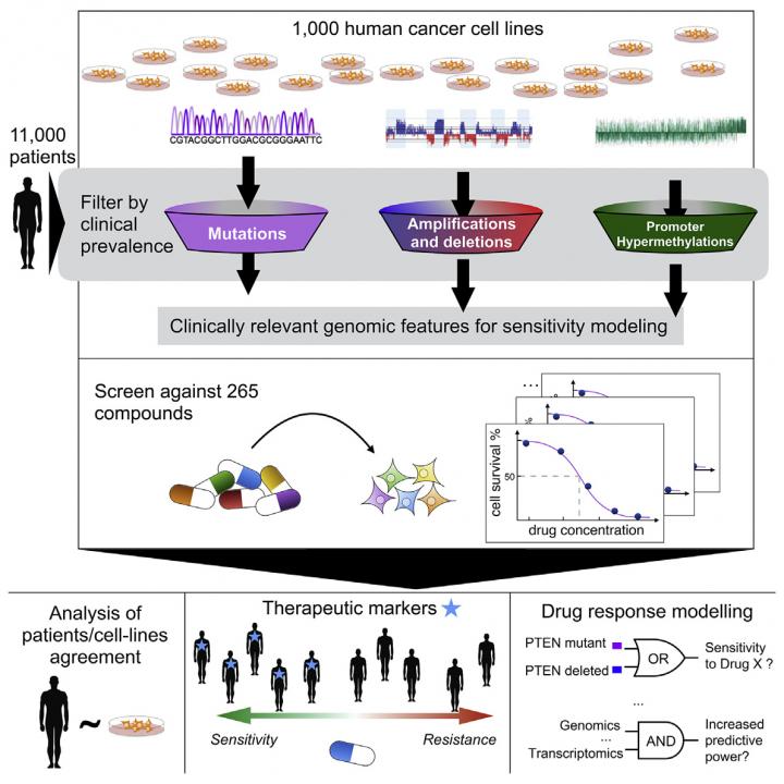 The Pharmacogenomics Landscape of 1,001 Human Cancer Cells Lines
