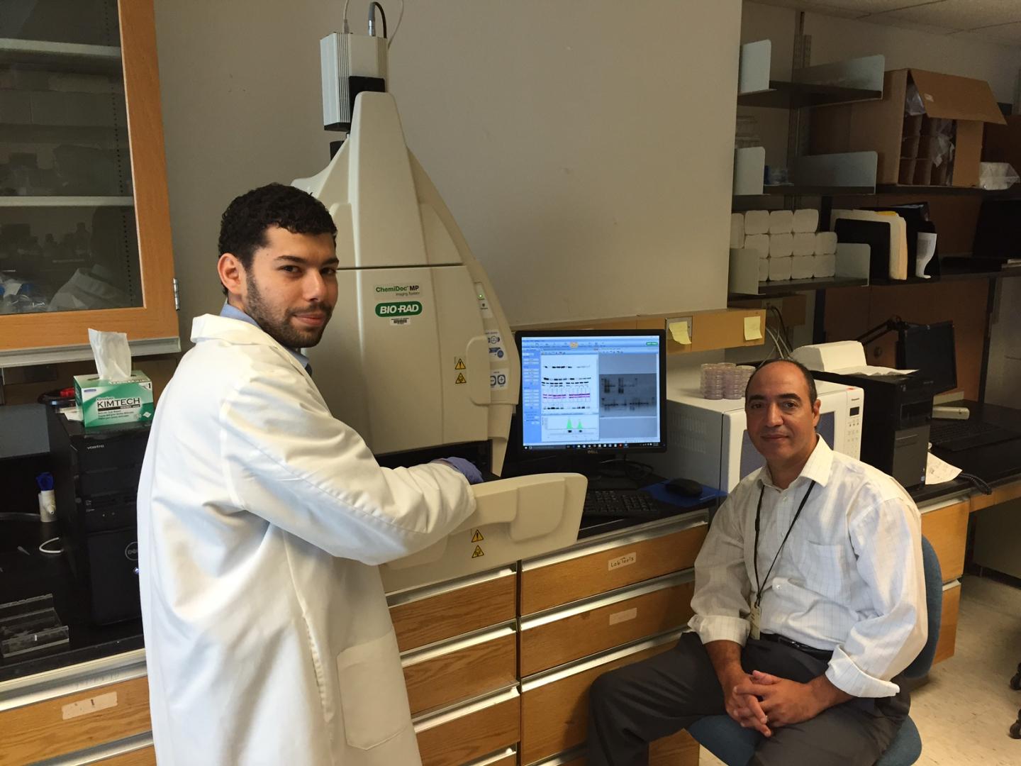 Experimental Drug Could Stop Melanoma, Other Cancers, Research Suggests (2 of 3)