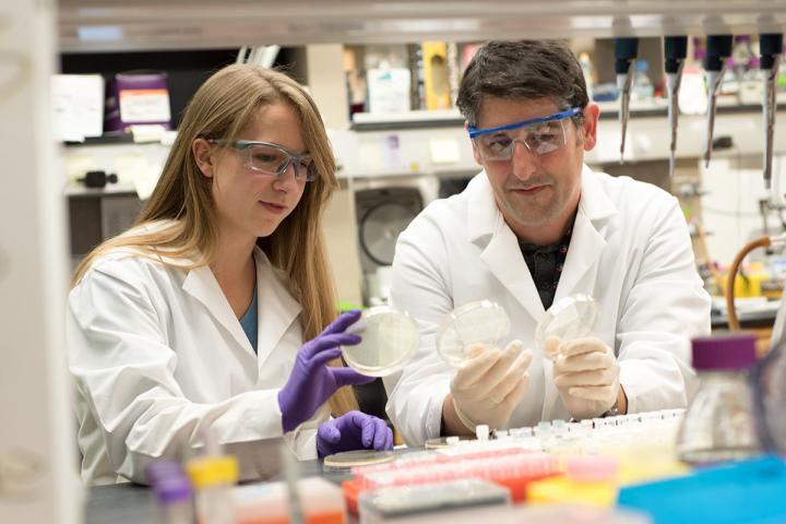 Sergej Djuranovic and Laura Arthur, Washington University School of Medicine