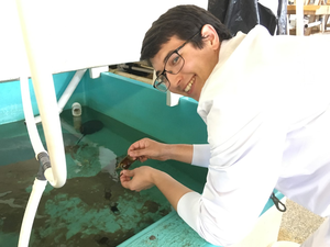 Alexander Okamoto at Marine Biological Laboratory