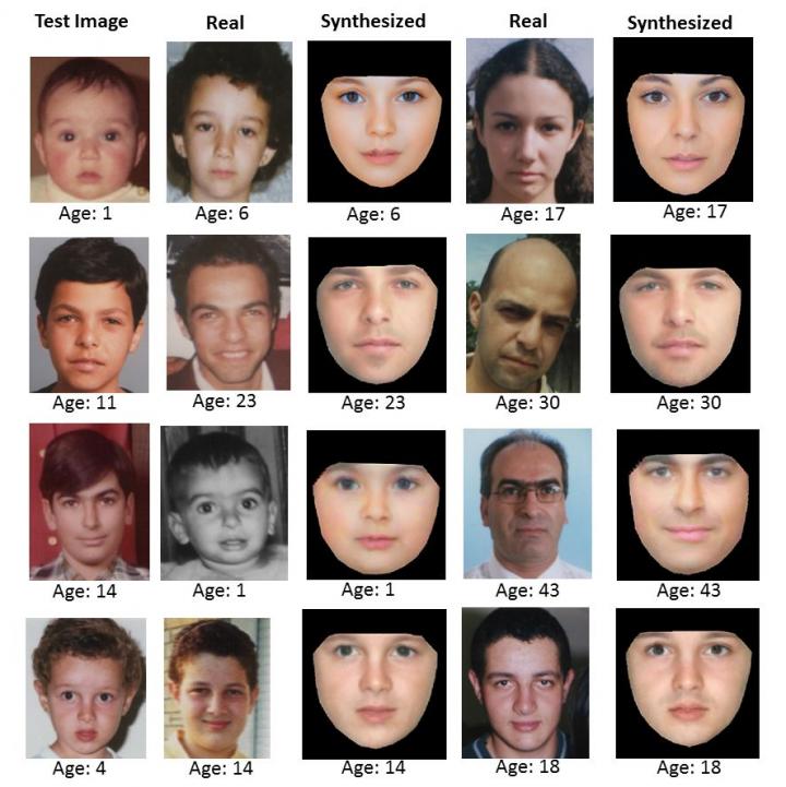 Images Used to Train the Algorithms