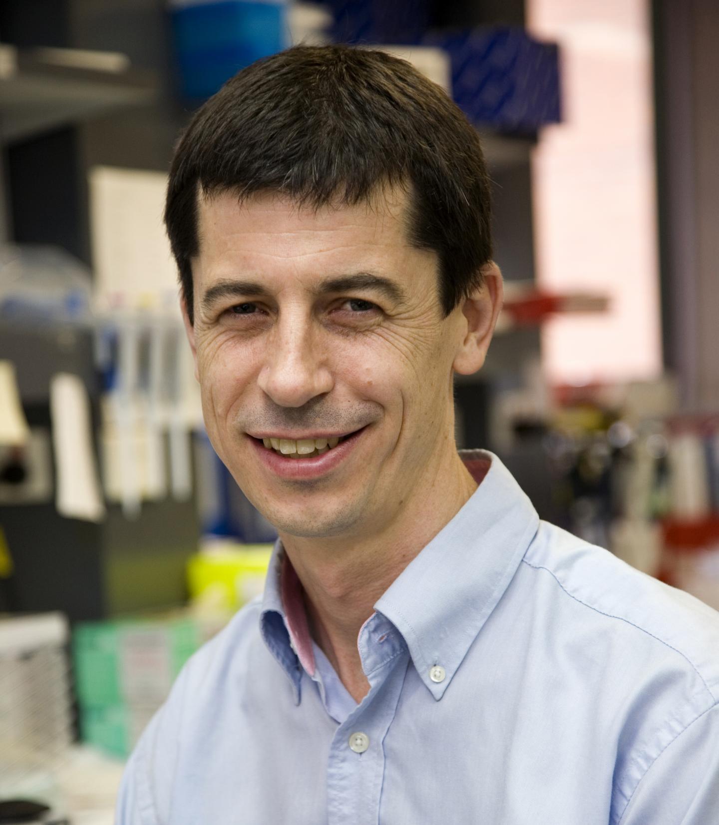 Matthew Brown, Queensland University of Technology