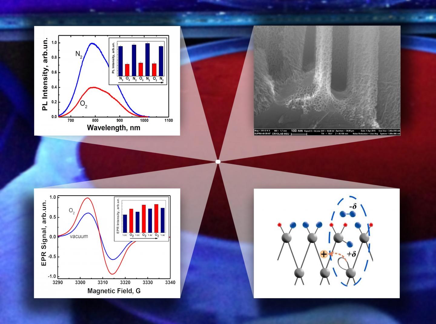 Principle of the Operation of the Sensor Based on Porous Silicon Nanowire Arrays