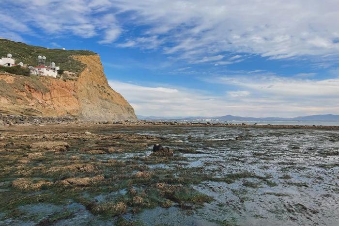 New Technique to Explore Oceanic Microbes