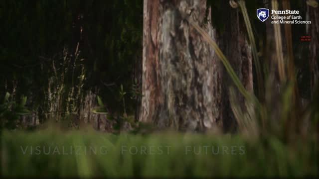 Visualizing Forest Futures