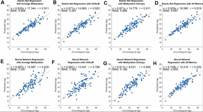 DNA methylation entropy is a biomarker for aging