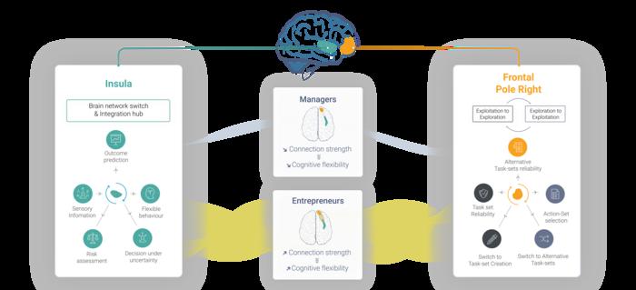 Entrepreneurs ans Managers Brain