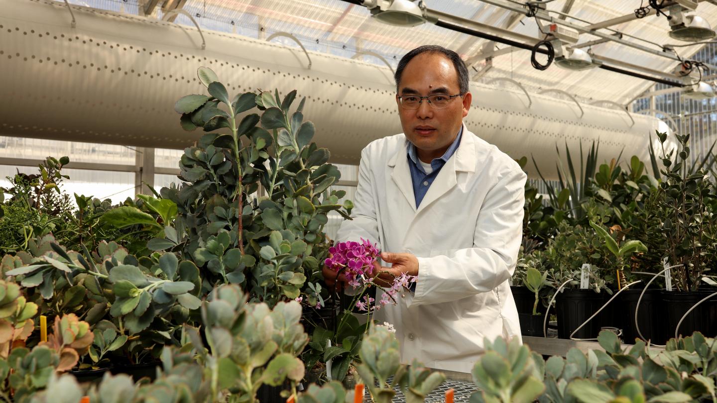 Xiaohan Yang, DOE/Oak Ridge National Laboratory