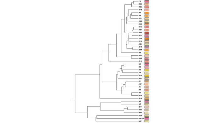 Fig. 2 Colors of E. coli expressing various rhodopsins.