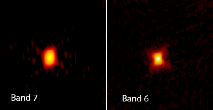 MWC349 is one of the brightest radio sources in the sky