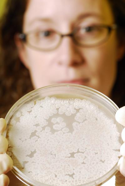 Wendy Kelly, Georgia Institute of Technology