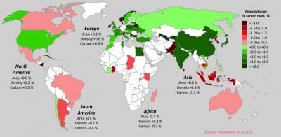 Annual Change in Forest Area and Carbon Mass 2000-2010