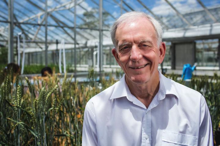 Robert Henry, University of Queensland