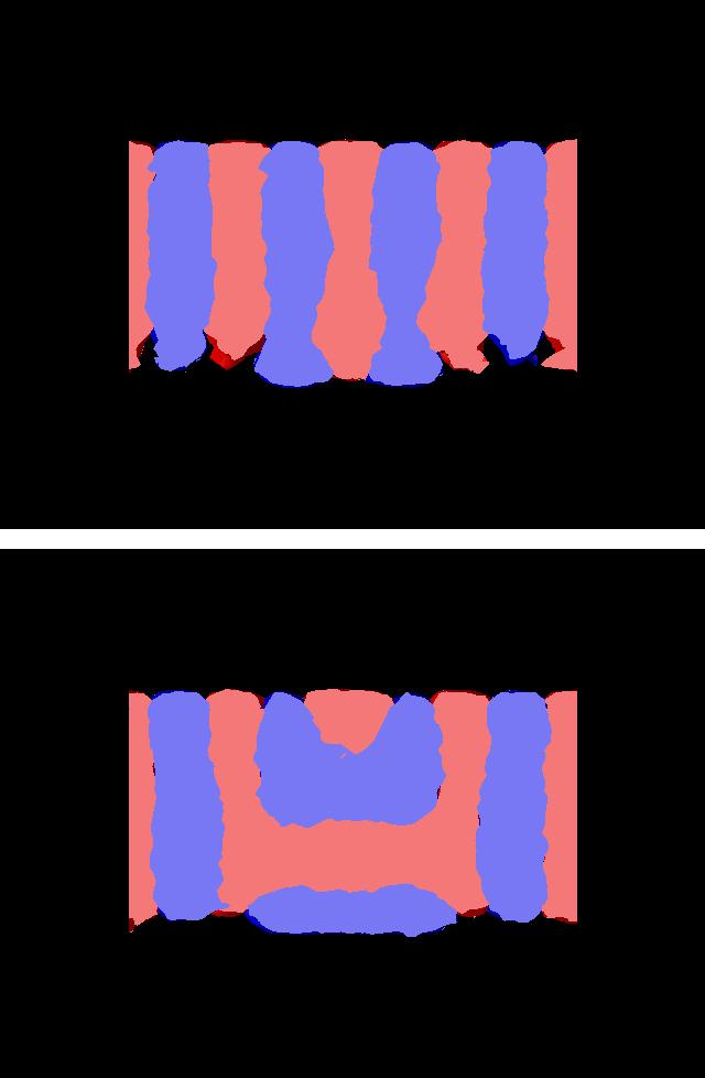 Computer Simulations of 2 Possible Morphologies