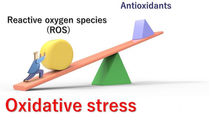 Imbalance of reactive oxygen species (ROS) and antioxidants