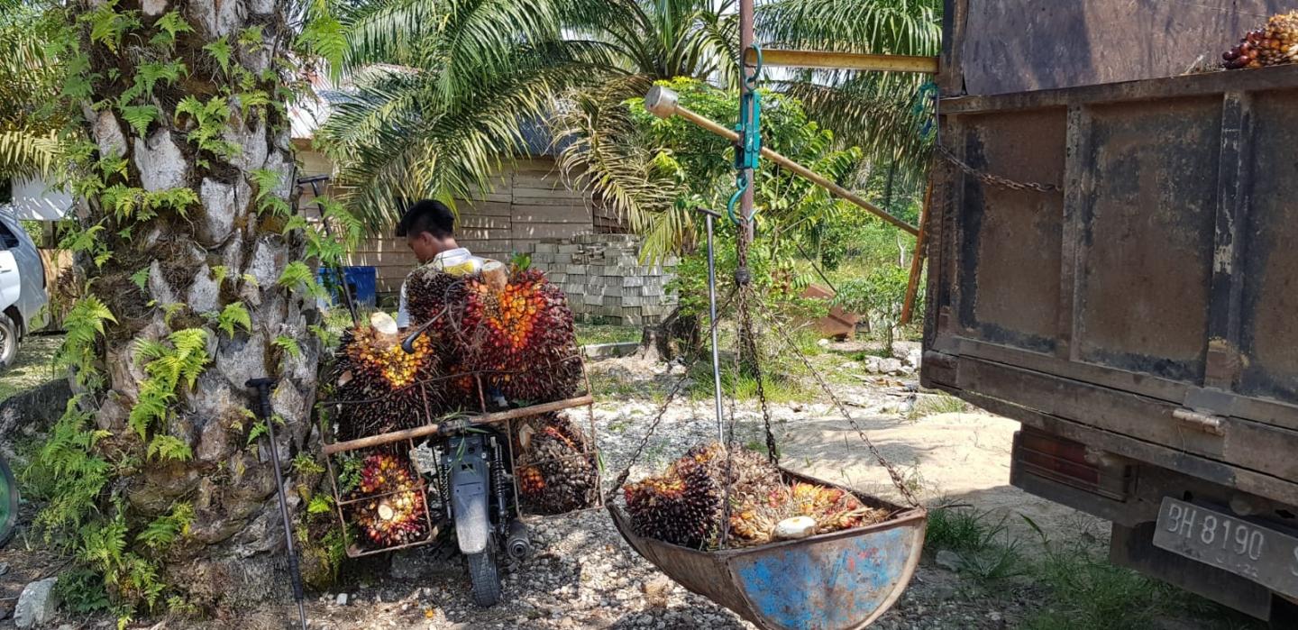 Man on Bike Laden with Fruits (Left) and Lorry Delivering Fruits (Right-Hand-Side)