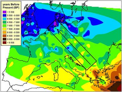 Chronology of the Neolithic Wave of Advance in Europe