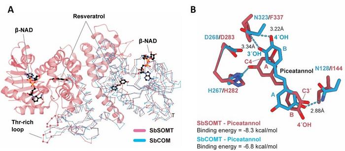 Fig02