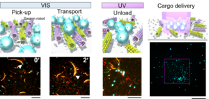 Cargo transport by a swarm of molecular robots