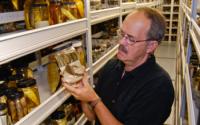 Larry Page in the Fish Collection at the Florida Museum of Natural History