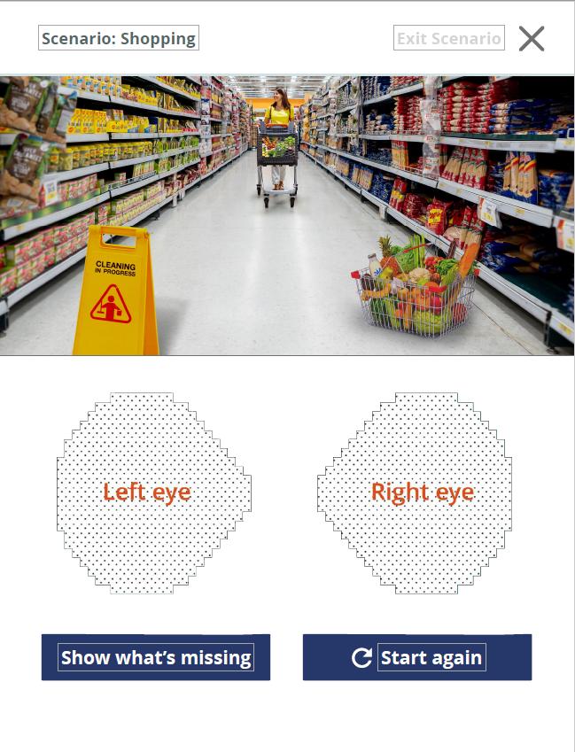 Screenshot from Glaucoma in Perspective app - shopping