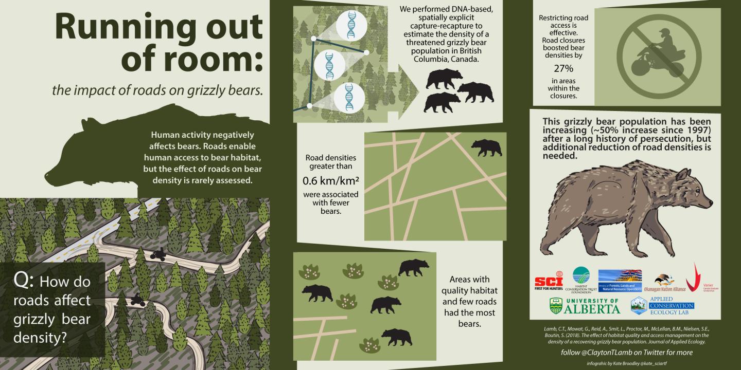 Infographic of Study of Impact of Roads on Grizzly Bears