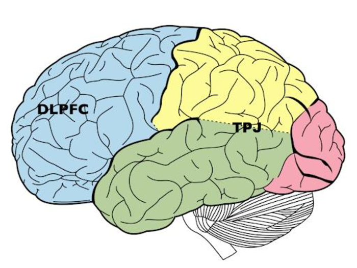 Dorsolateral prefrontal cortex (DLPFC) and temporoparietal junction (TPJ)
