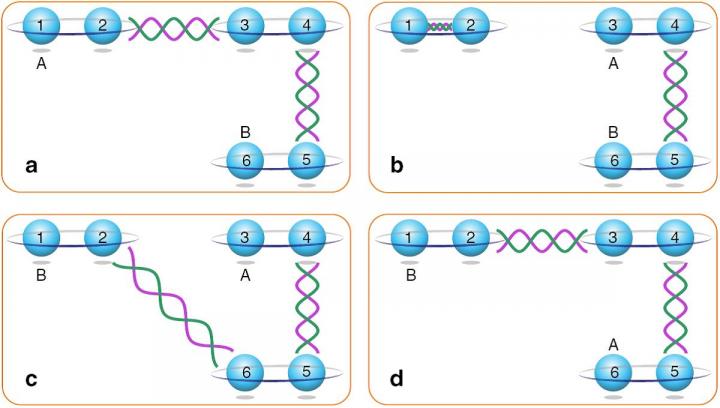 Majorana Zero Modes