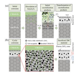 Schematic diagram of the formation (a) and growth (b) of the reaction layer of Gd2Zr2O7 coating under CMAS-Fe corrosion.