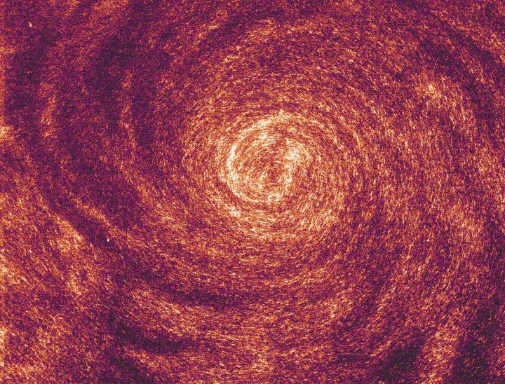 plakat scene tredobbelt Swirling 'Swarm' of Actin Fila [IMAGE] | EurekAlert! Science News Releases