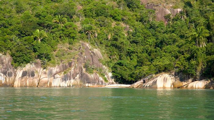 Effects of environmental factors on Southeast Brazil’s coastal biodiversity surpass those of ecological processes