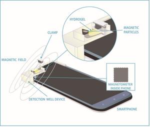 Smartphone magnetometer