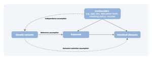 Assumptions of Mendelian randomisation analyses.