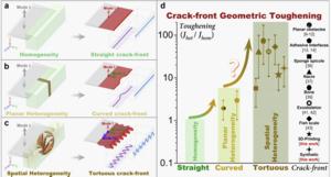 Distorting crack-front geometry for enhanced toughness by manipulating bioinspired heterogeneity