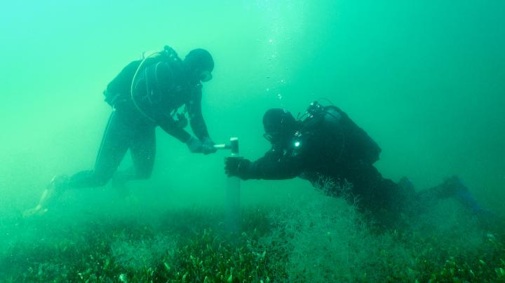 Divers Taking Samples in the Mar Menor (Spain), Last Week (1 of 2)