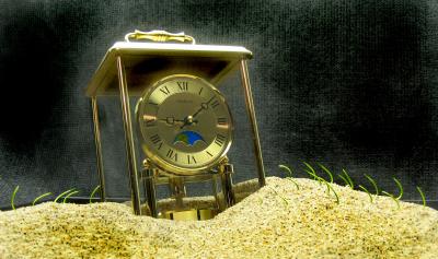 Plants Follow the Clock