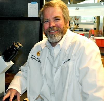 Dr. Steven Ebert, University of Central Florida