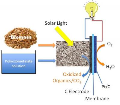 Biomass Fuel Cell -- Schematic