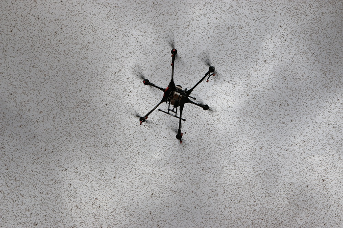 Drone in Sky