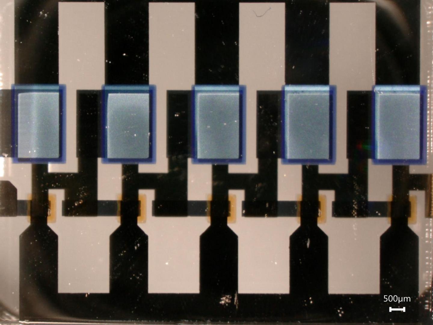 Image of a 5-stage complementary ring-oscillator composed of organic permeable base transistors.