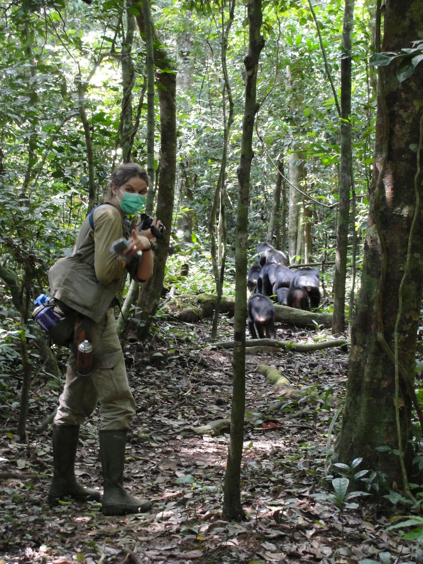 Studying Cognition in the Wild